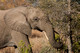 2015SthAfrica_-1529