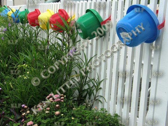 Seaside Buckets of Color on a White Picket Fence