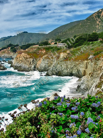 California Coast Scene
