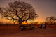 2015SthAfrica_-2075_HDR
