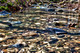 IndianTombHollow_-261_HDR-2
