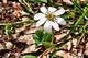 IndianTombHollow_-218_HDR