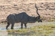 2015SthAfrica_-1622