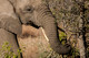 2015SthAfrica_-1529-2